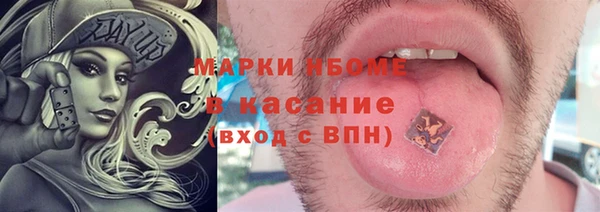 индика Богданович