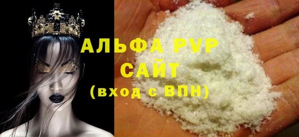 индика Богданович