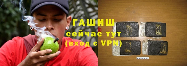 индика Богданович
