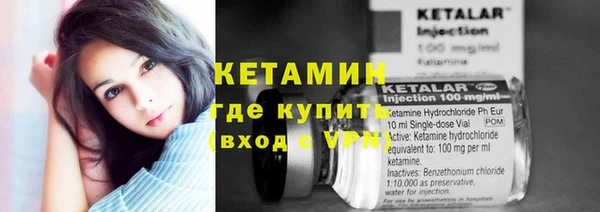 индика Богданович