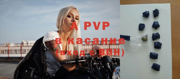 индика Богданович
