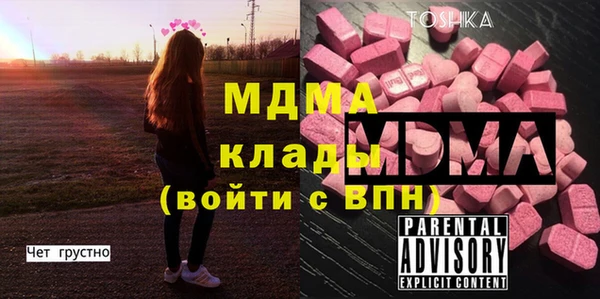индика Богданович