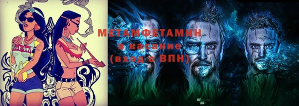 индика Богданович