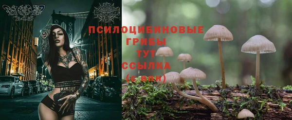 альфа пвп Богородск