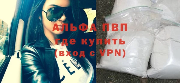 индика Богданович