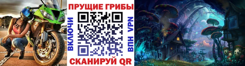Псилоцибиновые грибы мицелий Гулькевичи